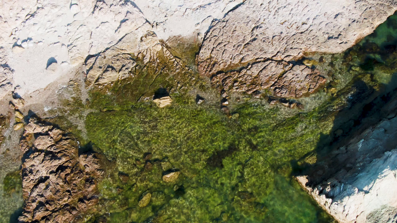 Aerial frame over Bahia Ascuncion with green algae spread across shallow water, pale stone around it, a darker water pocket at the right edge, and no visible people.