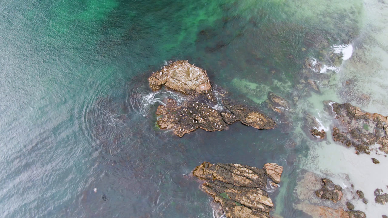 Top-down coastal water with rocks, sand, and darker submerged areas.