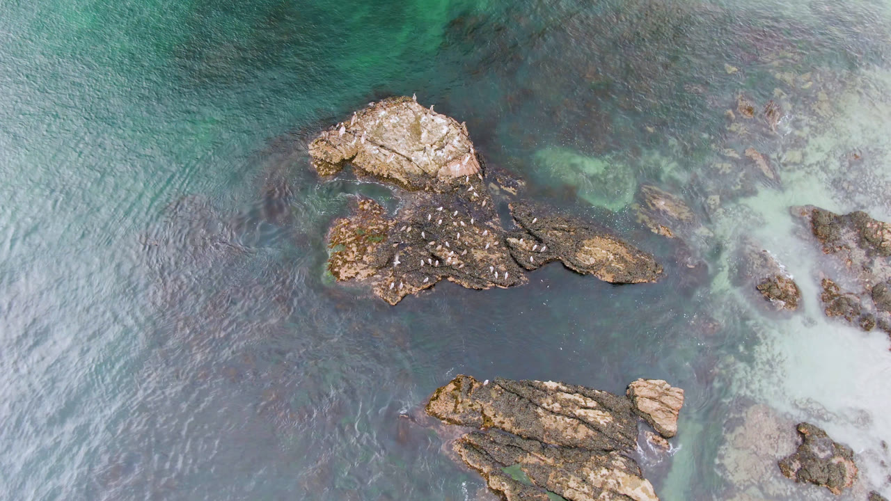 Top-down coastal rocks surrounded by blue green water