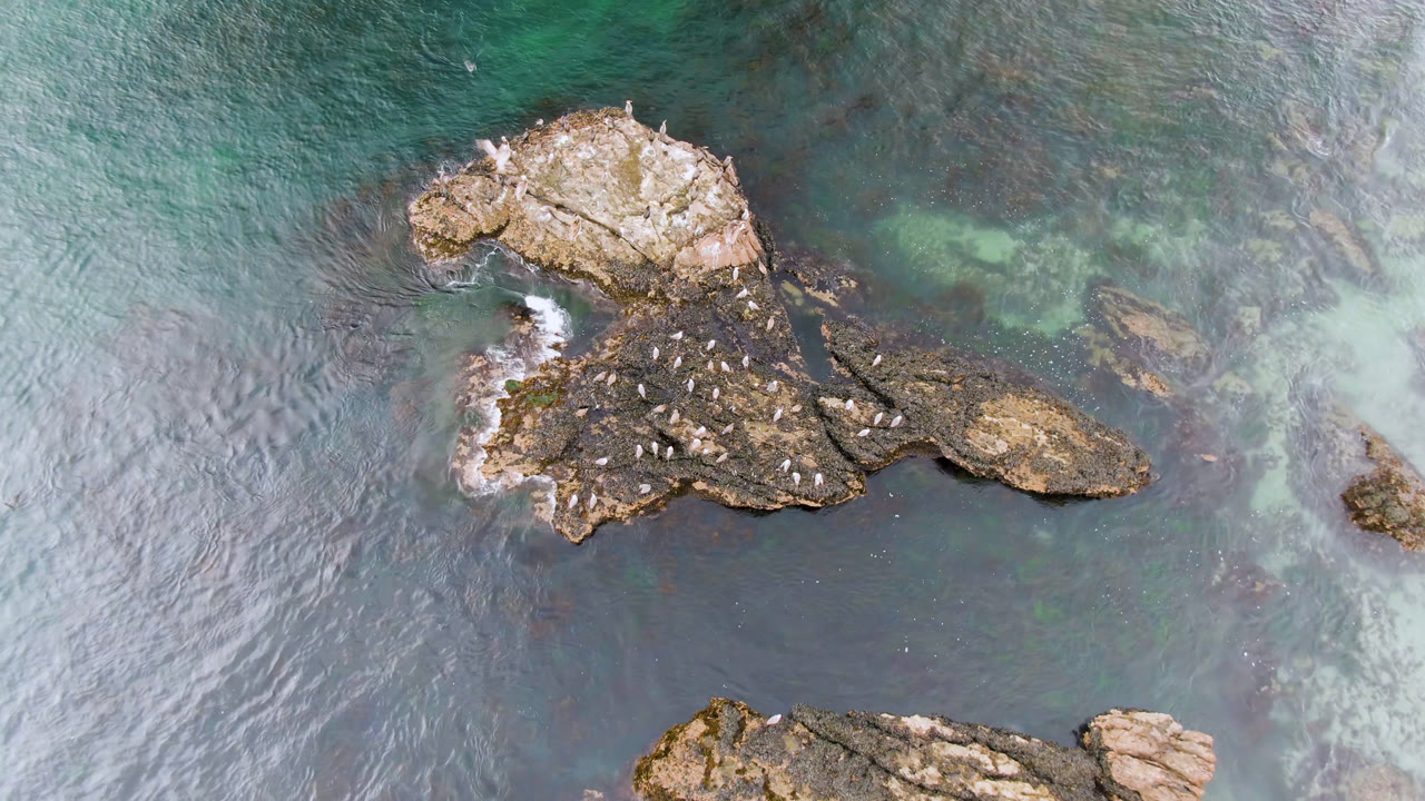 Rocky coastal outcrop with small birds and faint white water at one edge.