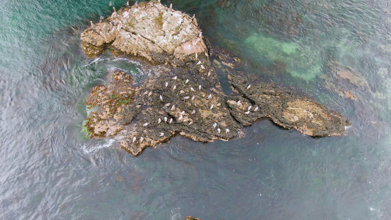A second overhead view in Bahia Ascuncion shows the same bird-covered rocks, with rippled water and pale green underwater areas more visible to the right, and no visible people.