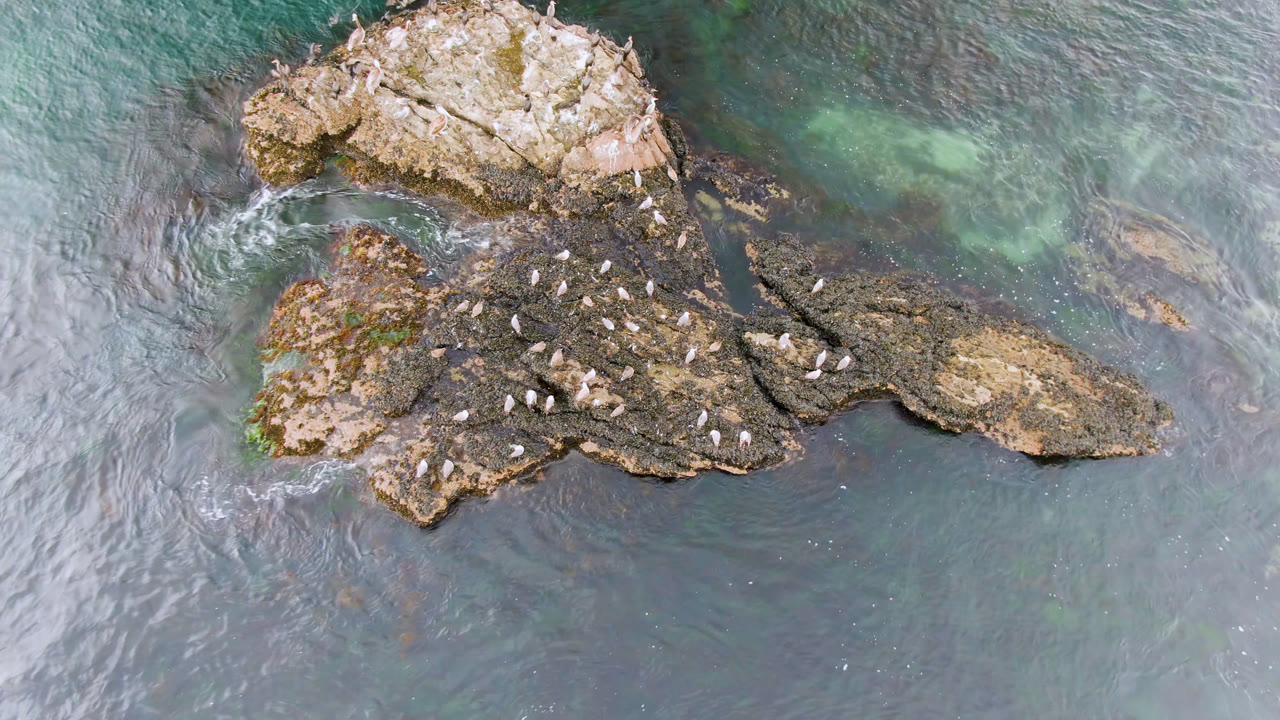 Rocky island with perched birds and clear green patches in the sea.