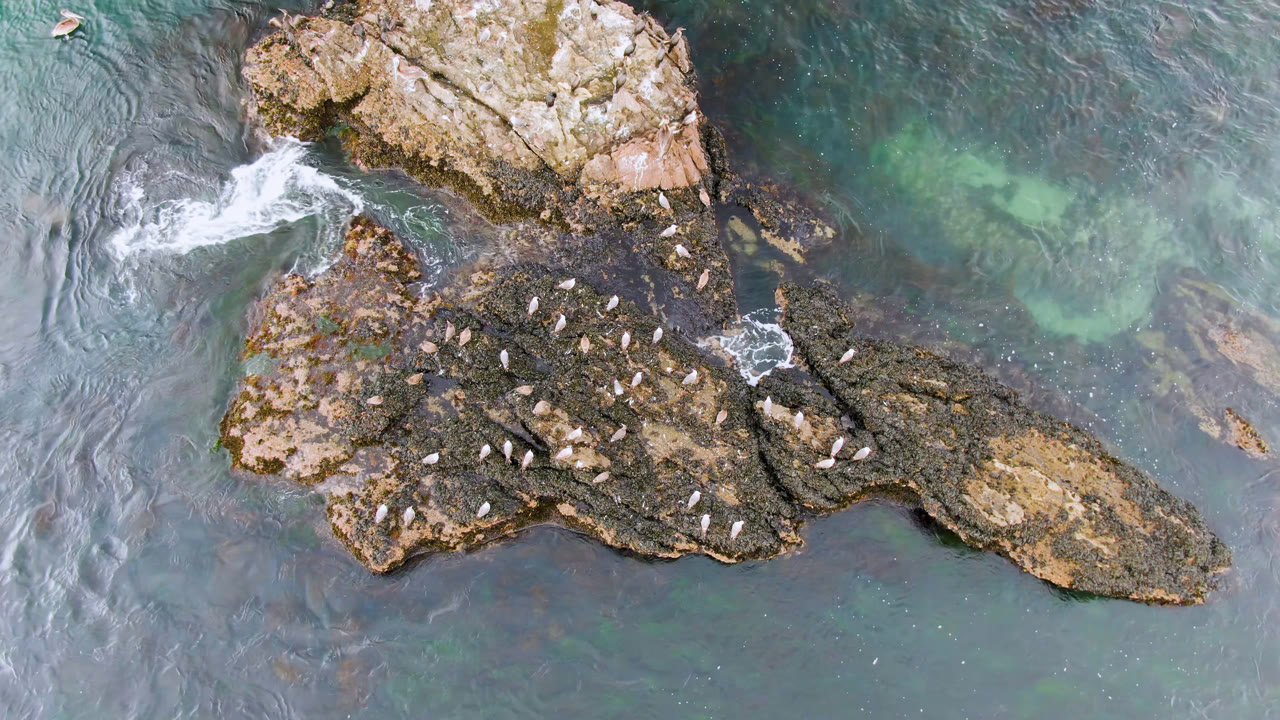 At one second, the Bahia Ascuncion rocks sit centered under the drone, with birds scattered across the darker lower rock and white water curling at the upper edge, no visible people.