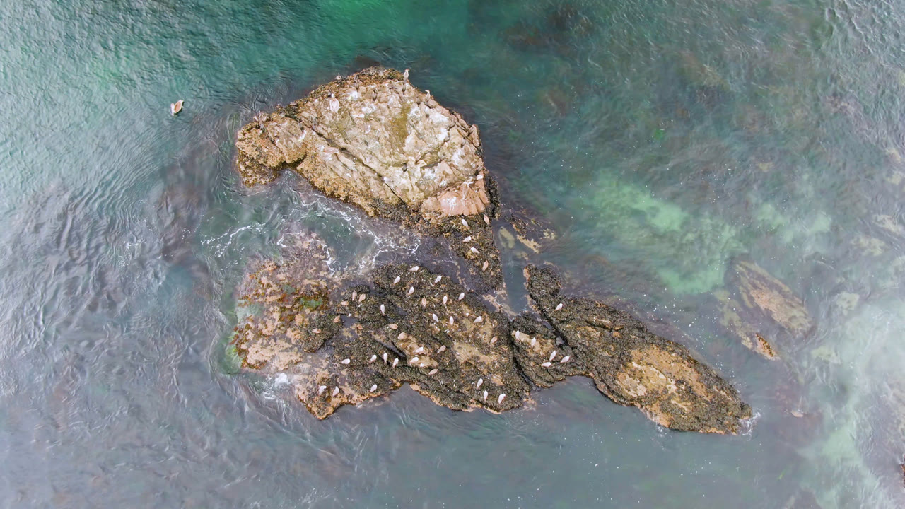 Rock formation with perched birds and pale green shallows