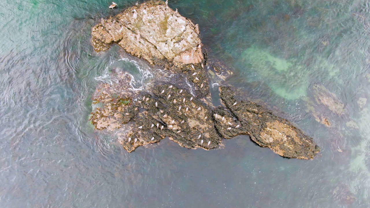 Overhead frame in Bahia Ascuncion shows the rock cluster slightly shifted in view, pale green shallows to the right, birds on the rocks, and no visible people.