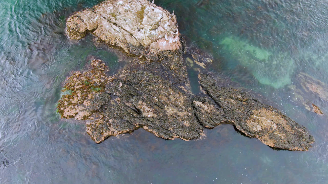 Overhead frame from Bahia Ascuncion, Baja California Sur, Mexico, showing jagged tan and dark rocks surrounded by blue-green shallow water with no visible people.