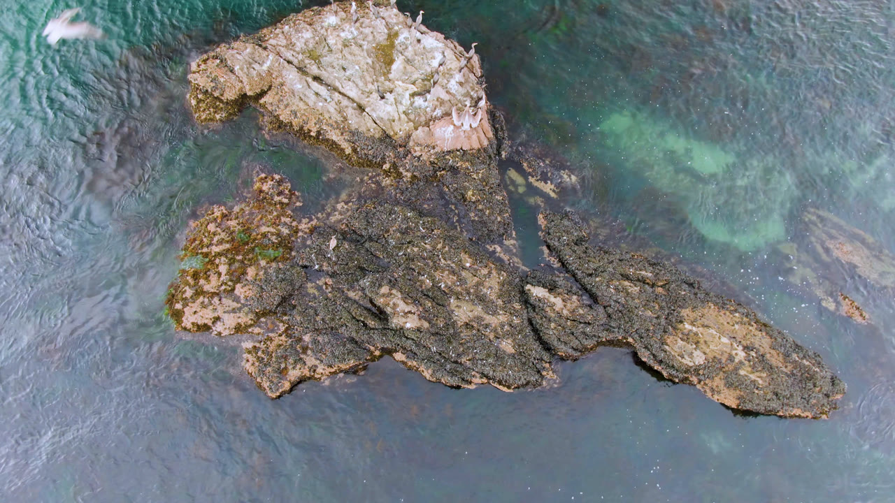 A one-second view in Bahia Ascuncion shows the same rocky outcrop centered in rippled blue-green water, with pale marks or small birds on the upper rock and no visible people.
