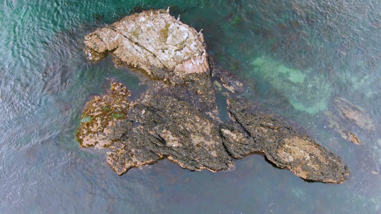 Aerial view of coastal rocks with translucent water and submerged shapes.