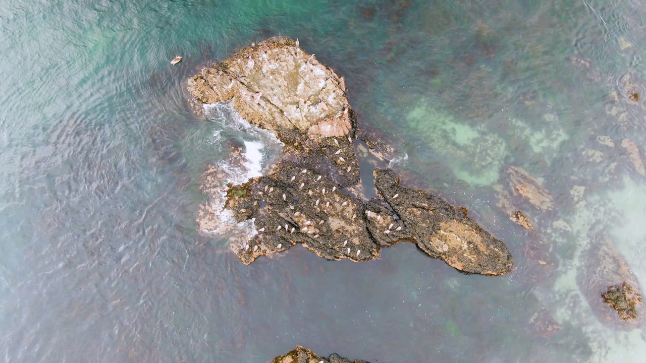 Aerial water and rocks with small birds nearby