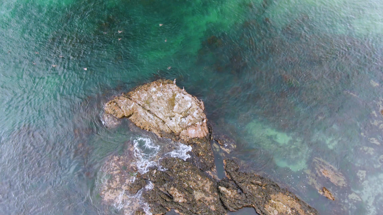 Aerial frame over Bahia Ascuncion water with a pale rock near center, darker reef-like shapes below it, rippled green water around it, and no visible people.