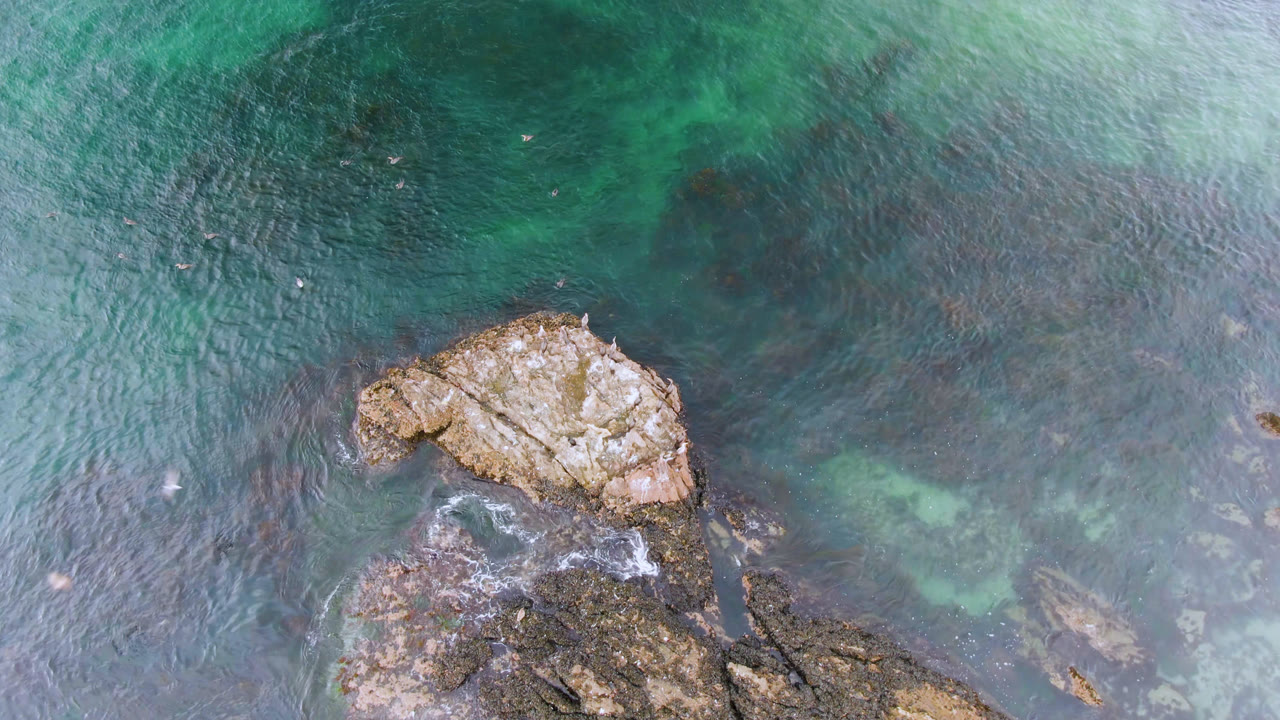 Overhead coastal water with rocks lower in frame and open water above.