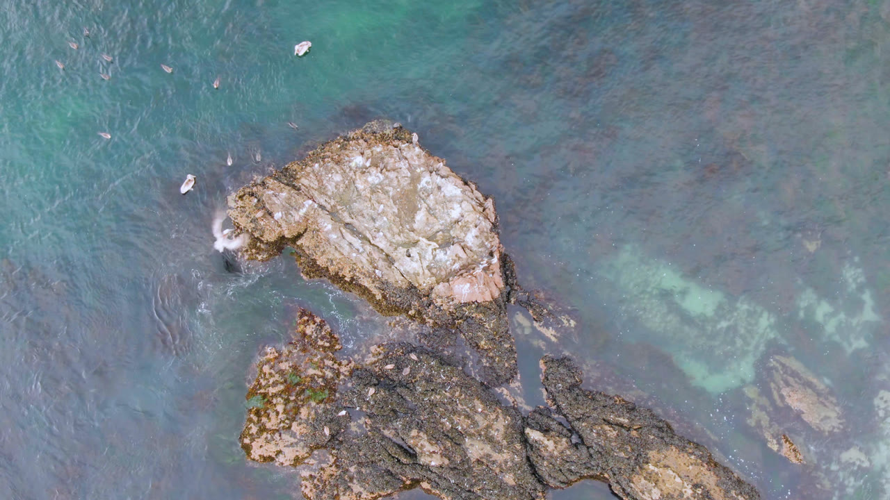 A pale rock formation sits near the center of blue-green water at Bahia Ascuncion, with birds crossing the surrounding sea and no visible people.