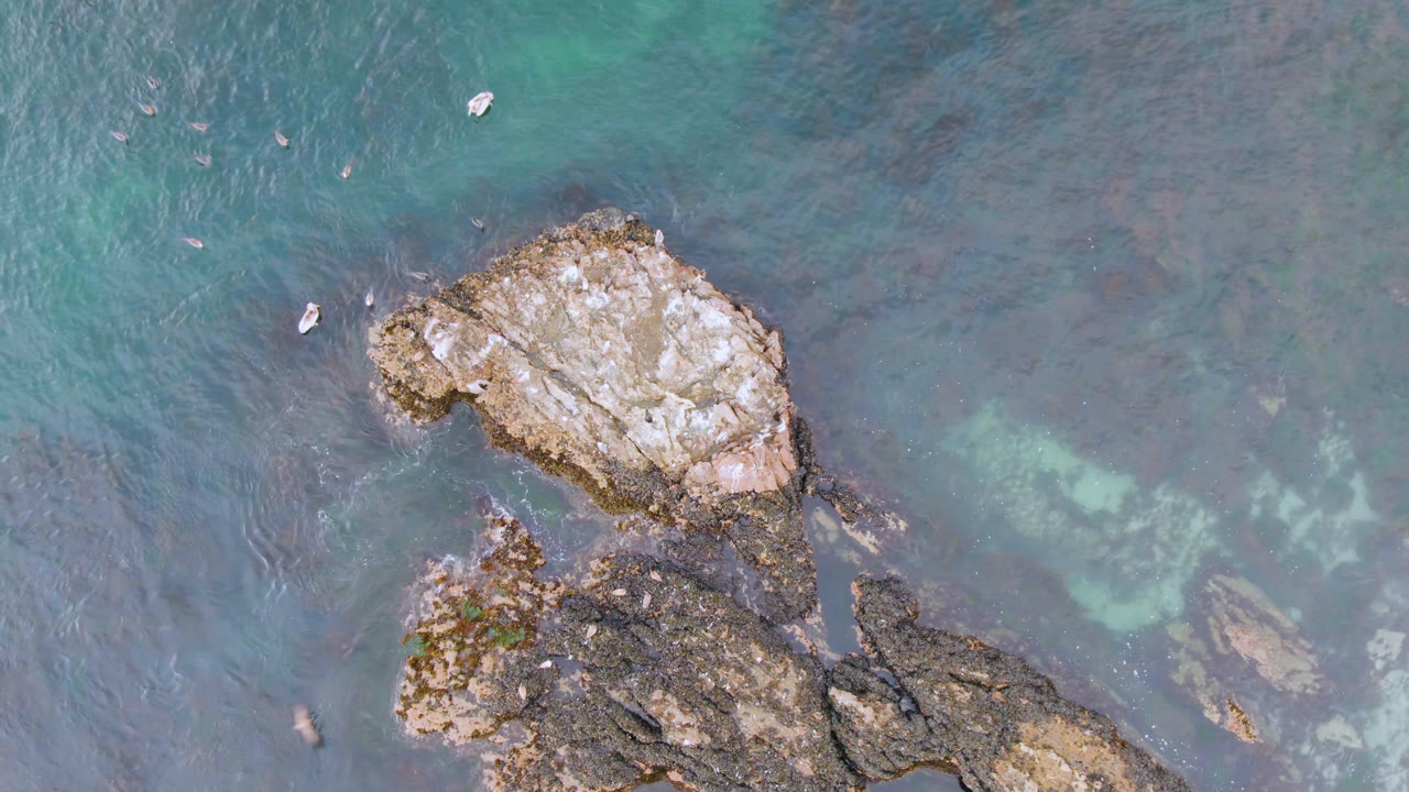 Aerial water and rocks with several birds in frame.