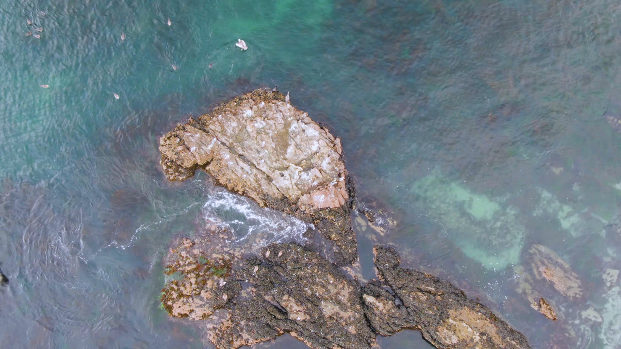 Bird's-eye view over Bahia Ascuncion water, with the pale upper rock centered and darker submerged rock shapes visible through the turquoise shallows.