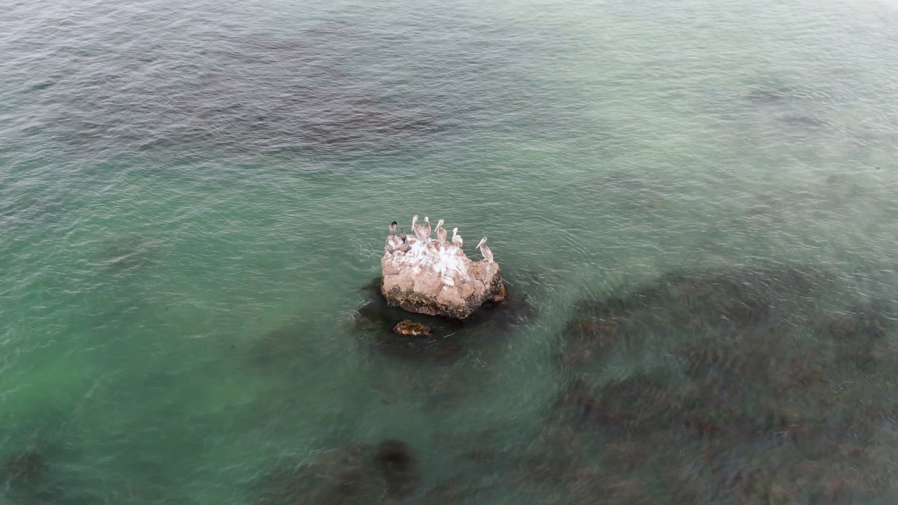 Aerial frame in Bahia Ascuncion with birds still perched on the pale rock as rippled green-gray water surrounds the outcrop, with no visible people.