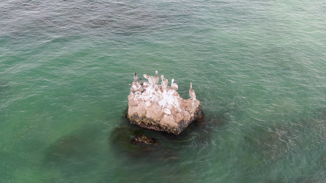 At 0:00, birds rest on a small tan rock in the green-blue water at Bahia Ascuncion, Baja California Sur, Mexico, with no visible people.