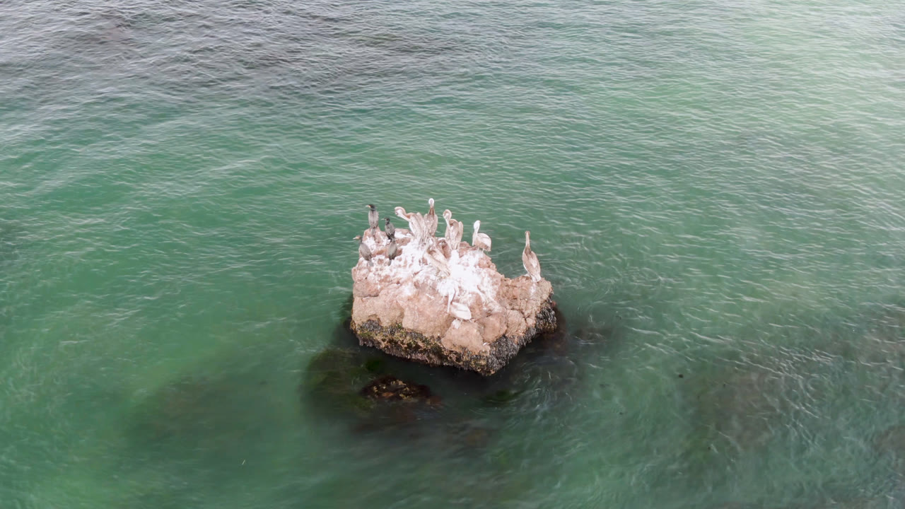 At 0:01, the rock remains centered below midframe as pale birds sit above rippled green ocean water in Bahia Ascuncion, with no visible people.