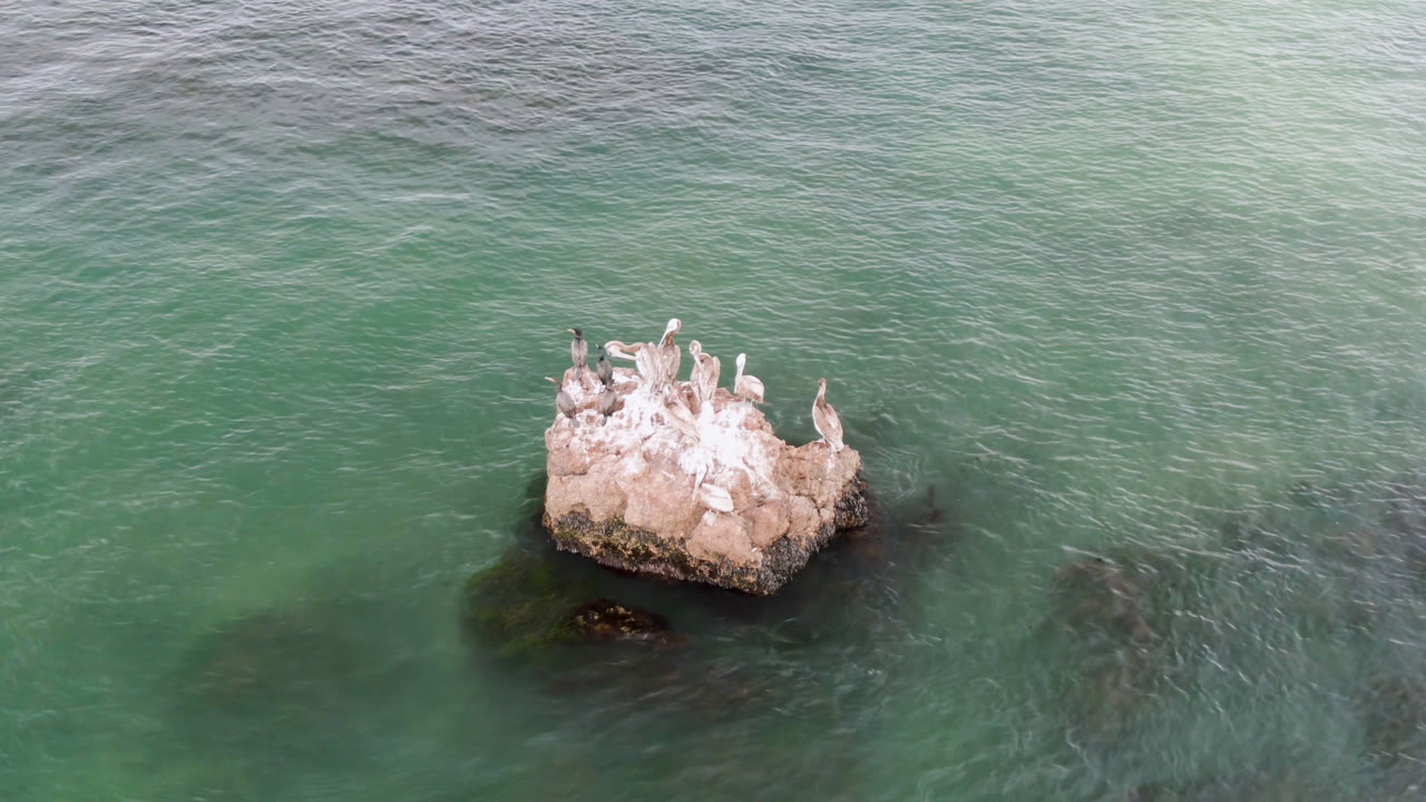 At 0:00, pale birds cluster on a small rock in green-blue water at Bahia Ascuncion, Baja California Sur, Mexico, with darker submerged shapes nearby and no visible people.