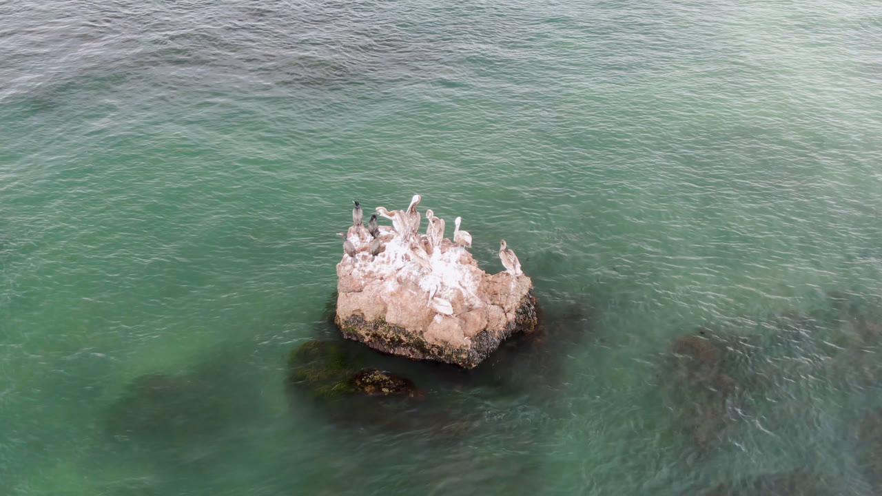 At 0:02, birds sit across the top of the small offshore rock in Bahia Ascuncion, with green-blue water and darker underwater areas visible, and no visible people.