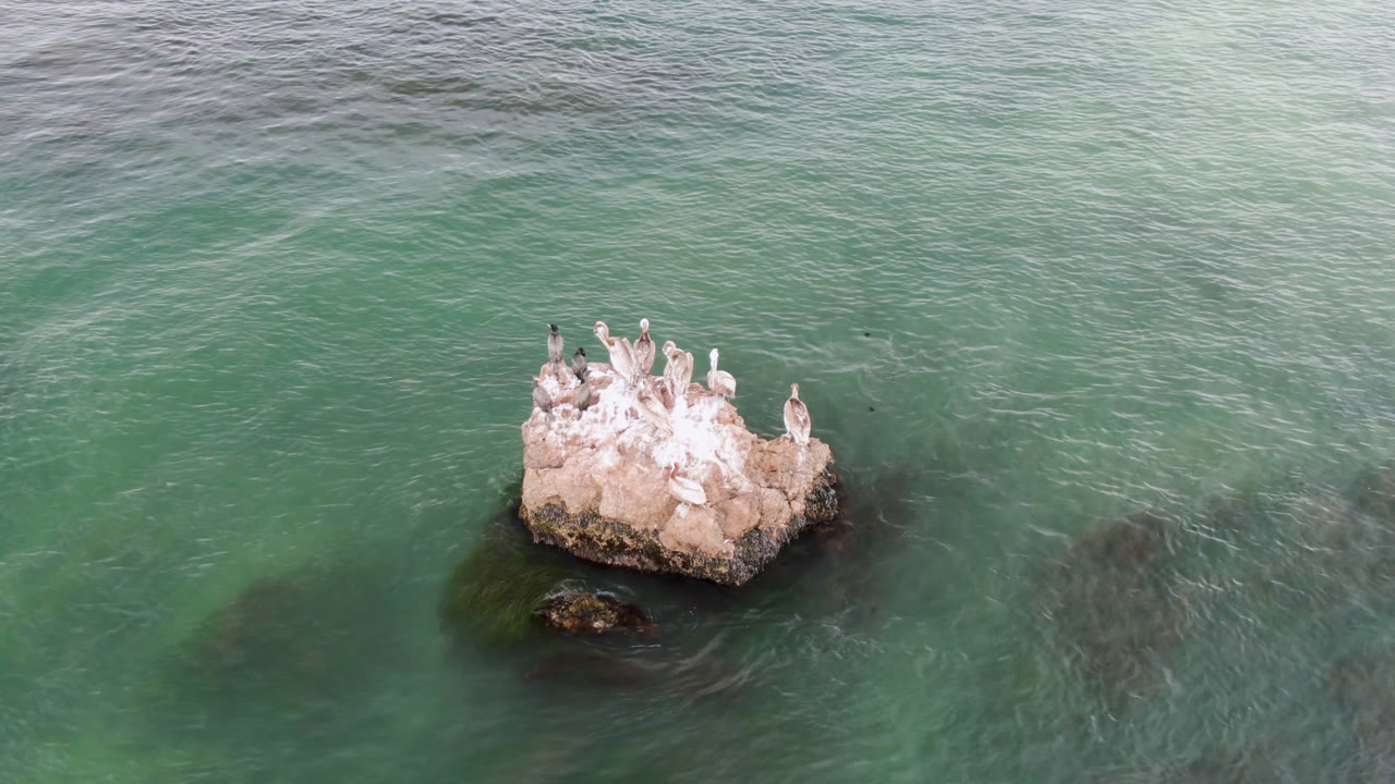 Aerial view in Bahia Ascuncion, Baja California Sur, Mexico, with pale birds clustered on a small offshore rock in green-blue water and no visible people.