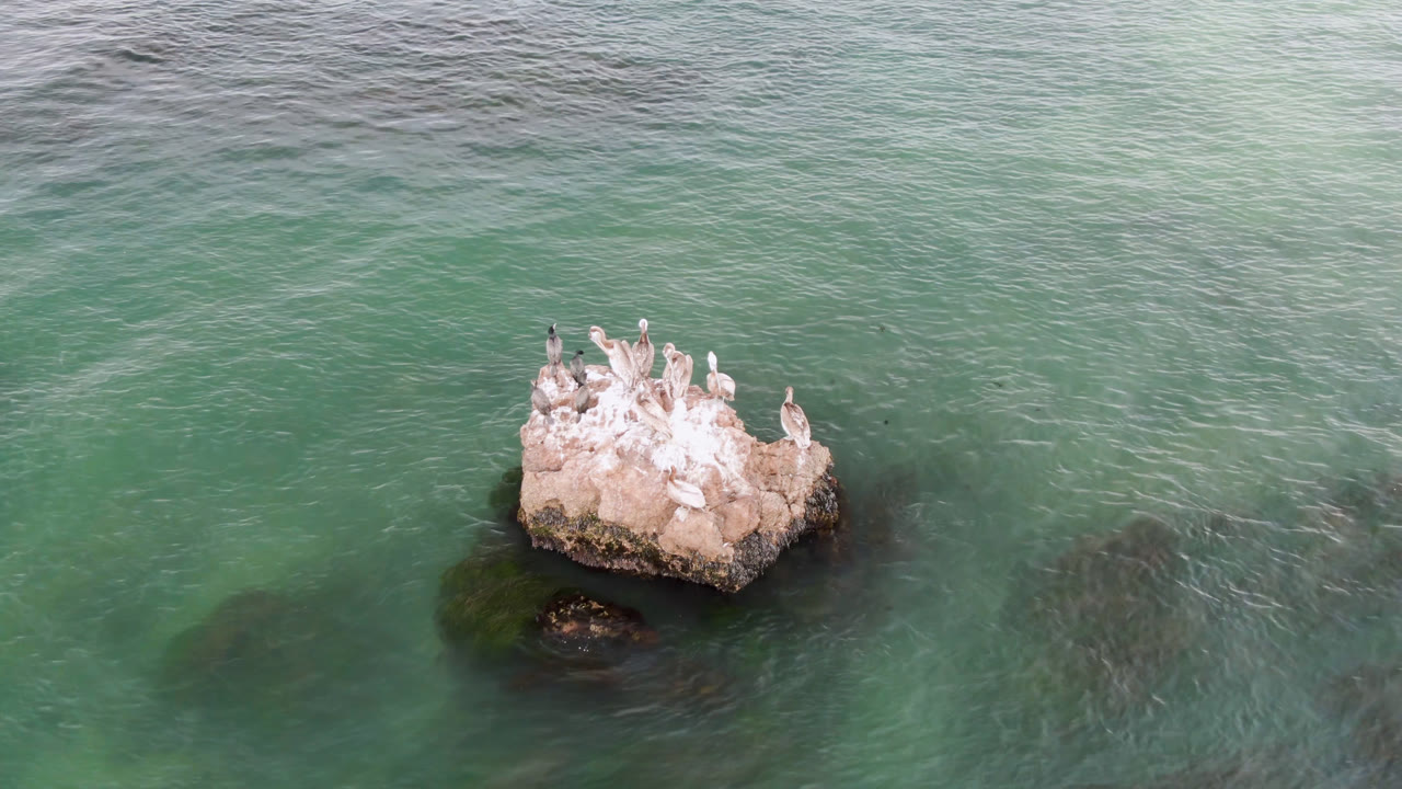 Birds remain perched on a small offshore rock in Bahia Ascuncion, with green water, faint wave streaks, dark submerged rock patches, and no visible people.