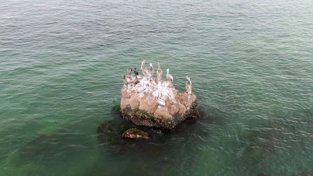 At the start of the Bahia Ascuncion clip, pale birds perch on a tan offshore rock in green-blue water, with no visible people.