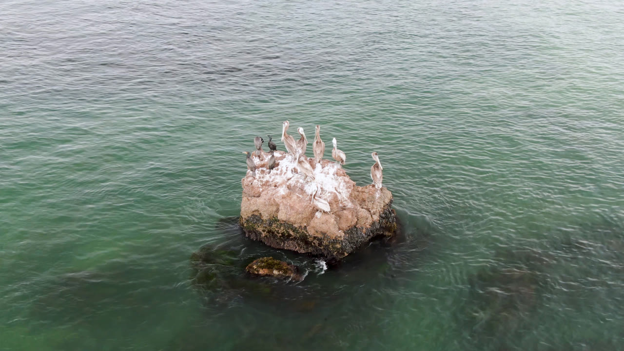One second in, the birds remain grouped on the Bahia Ascuncion rock as rippled green water surrounds the base, with no visible people.