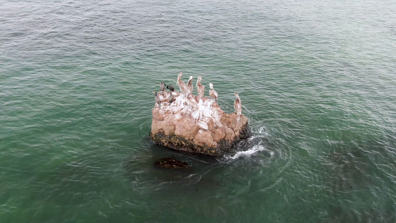 At 0:01, the bird-covered tan rock sits slightly left of center in the green water at Bahia Ascuncion, Baja California Sur, with a small swirl of foam on the right and no visible people.