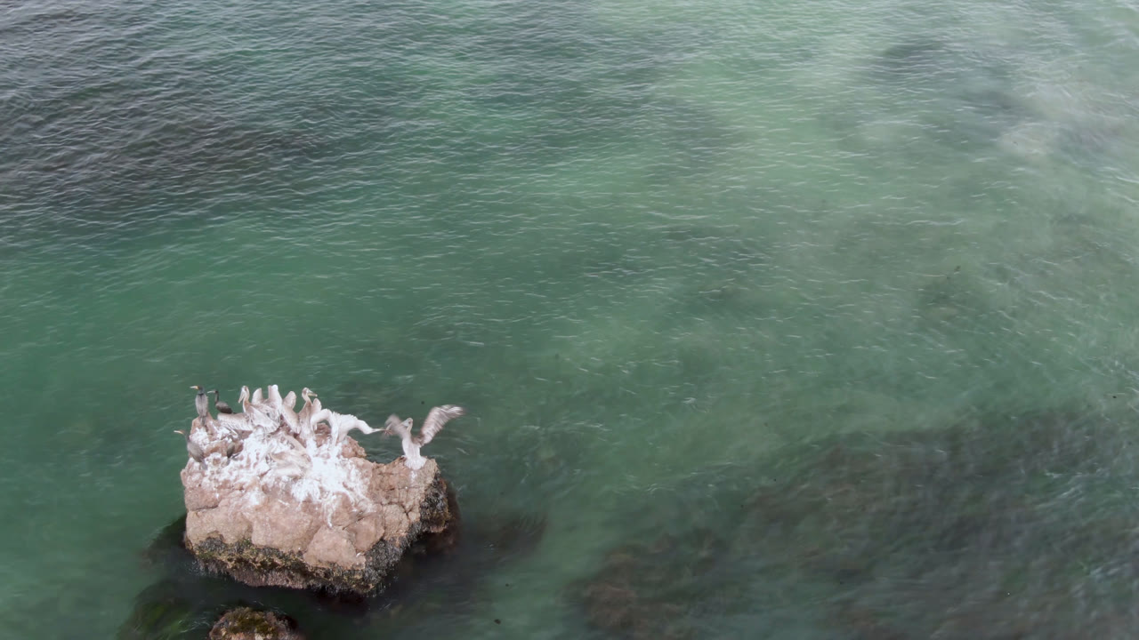 A small rock sits near the lower center with birds perched along its top, set inside open green water at Bahia Ascuncion with no visible people.