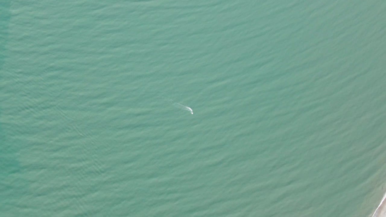 Small white kite over textured turquoise water with shoreline along the far right.
