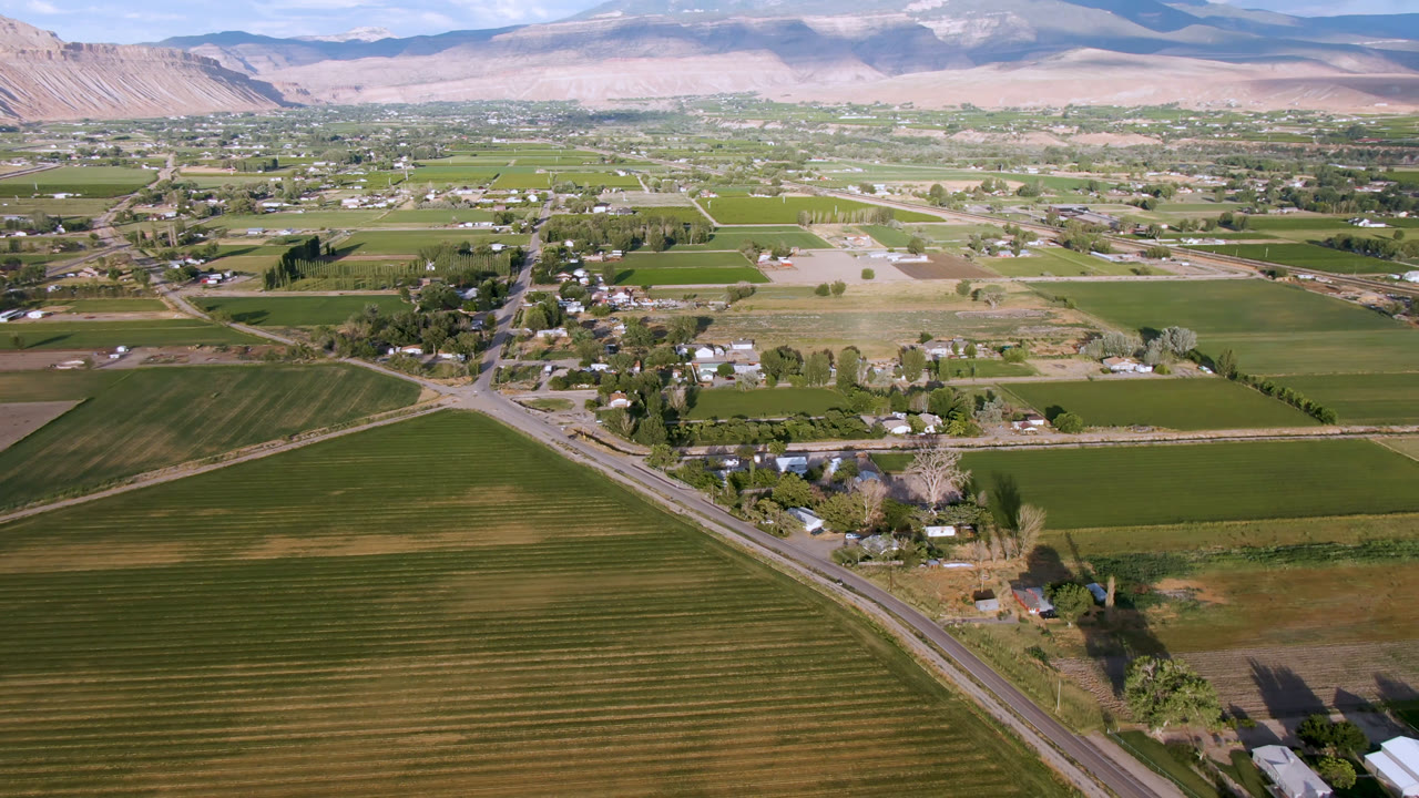 Aerial view of green fields, rural road, scattered buildings, distant town, and mountains.
