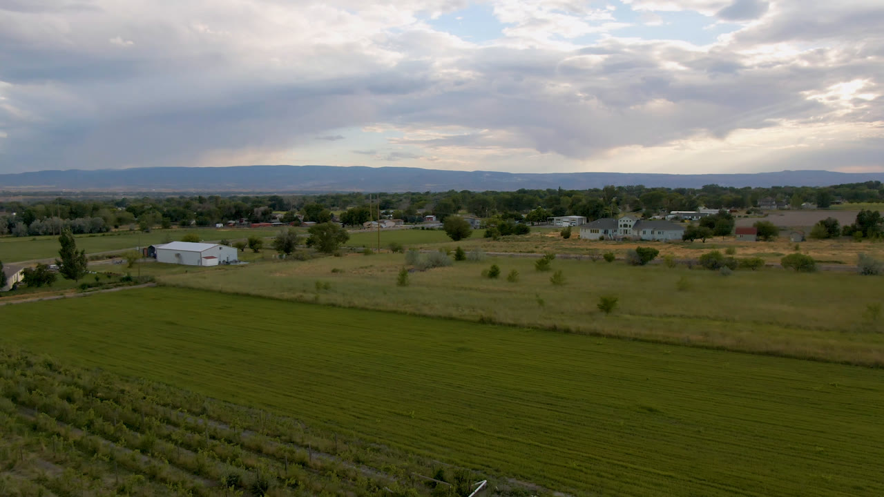 Wide rural field with distant houses, trees, and low hills