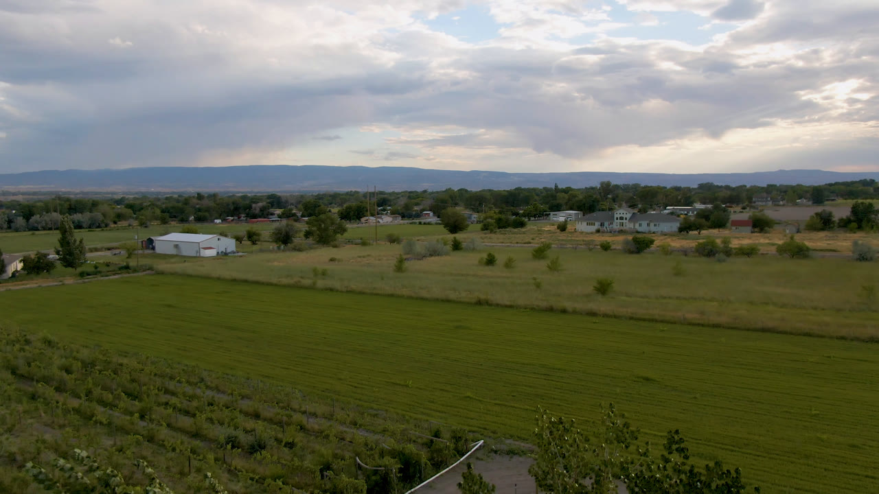Wide aerial view of a green field in Palisades, Colorado, with a few houses, scattered trees, distant hills, layered clouds, and no visible people.