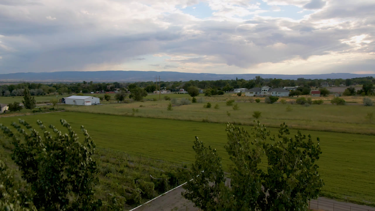 Field, homes, trees, distant hills, and foreground treetops under clouds.