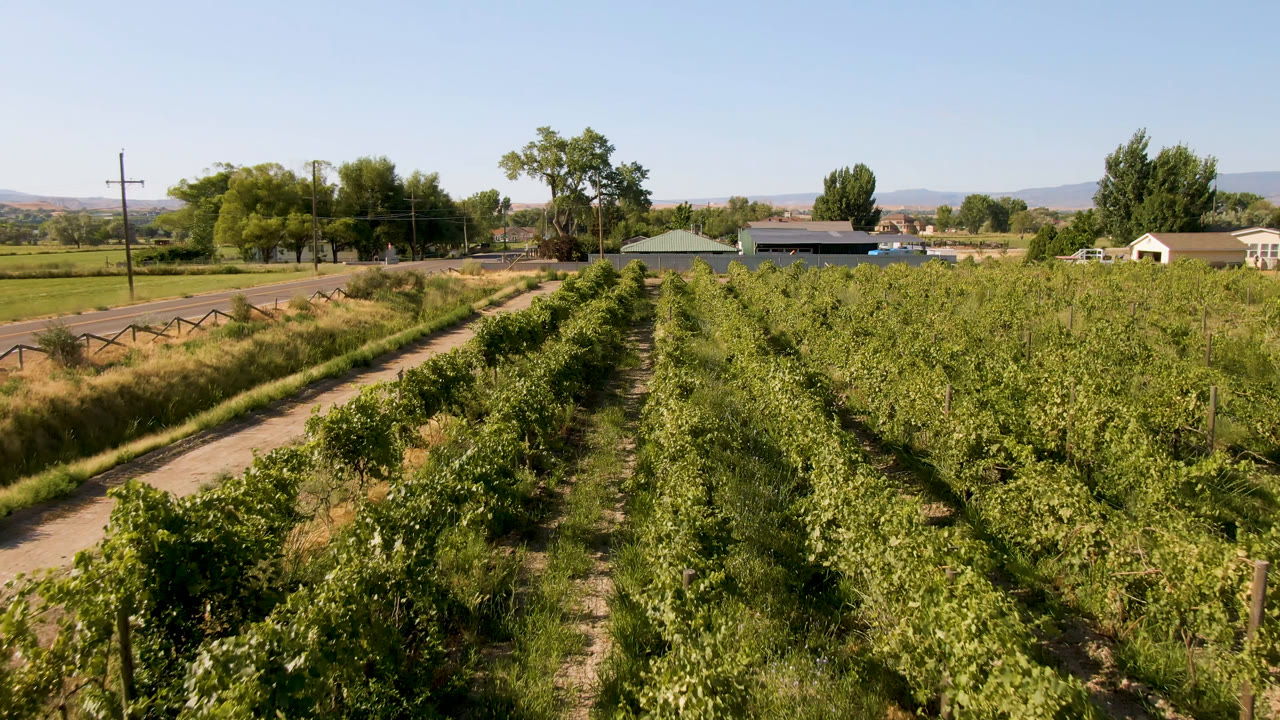 Third frame holds on the Palisades agricultural view, with foreground plants, a fence and road to the left, low buildings and trees in the background, and no visible people.