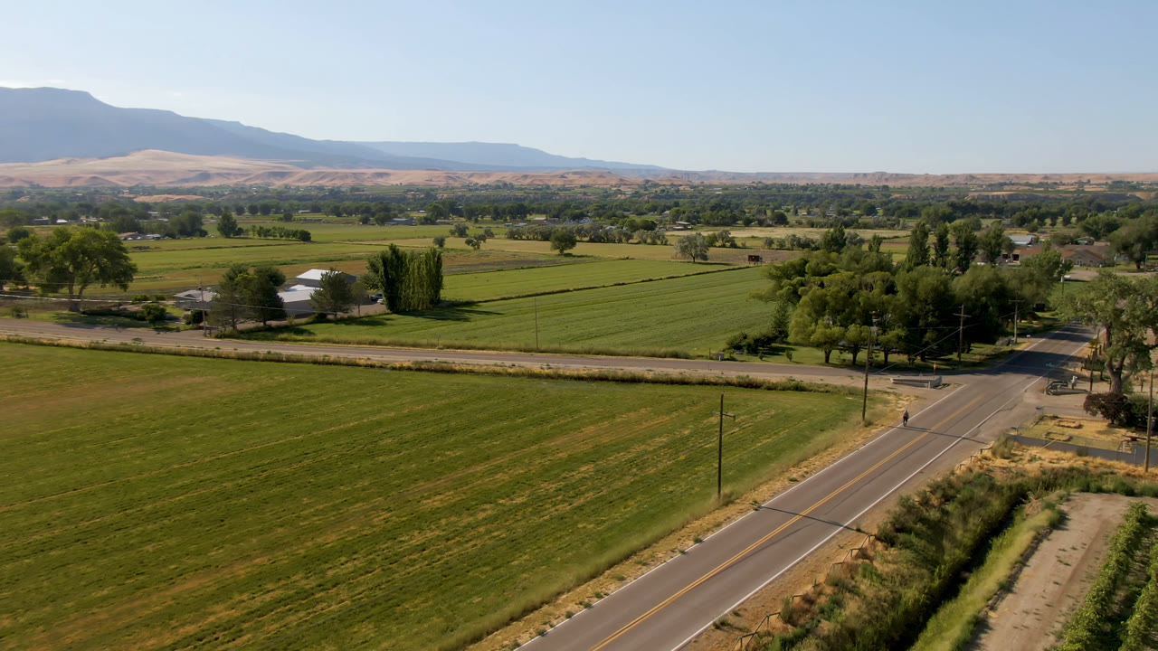 Aerial view of green fields, a road, trees, and distant hills under blue sky.