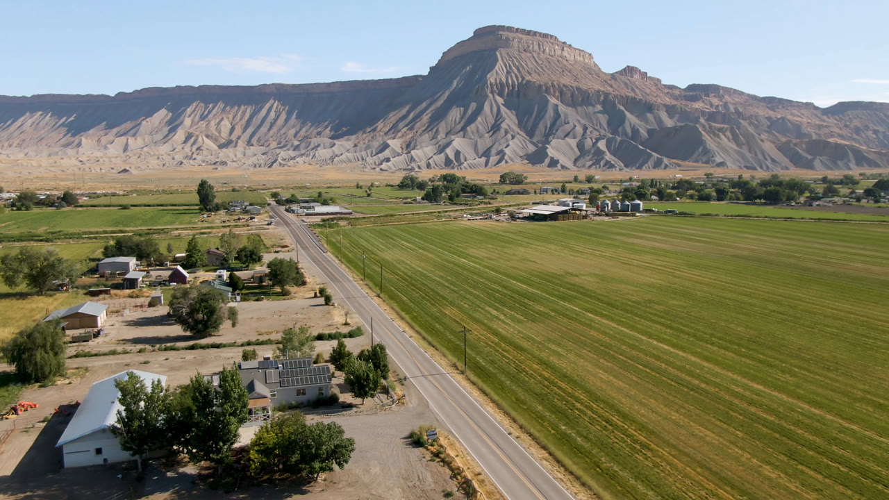 Aerial view in Palisades, Colorado showing foreground houses and trees beside a paved road, green farm fields, a wide mesa background, and no visible people.