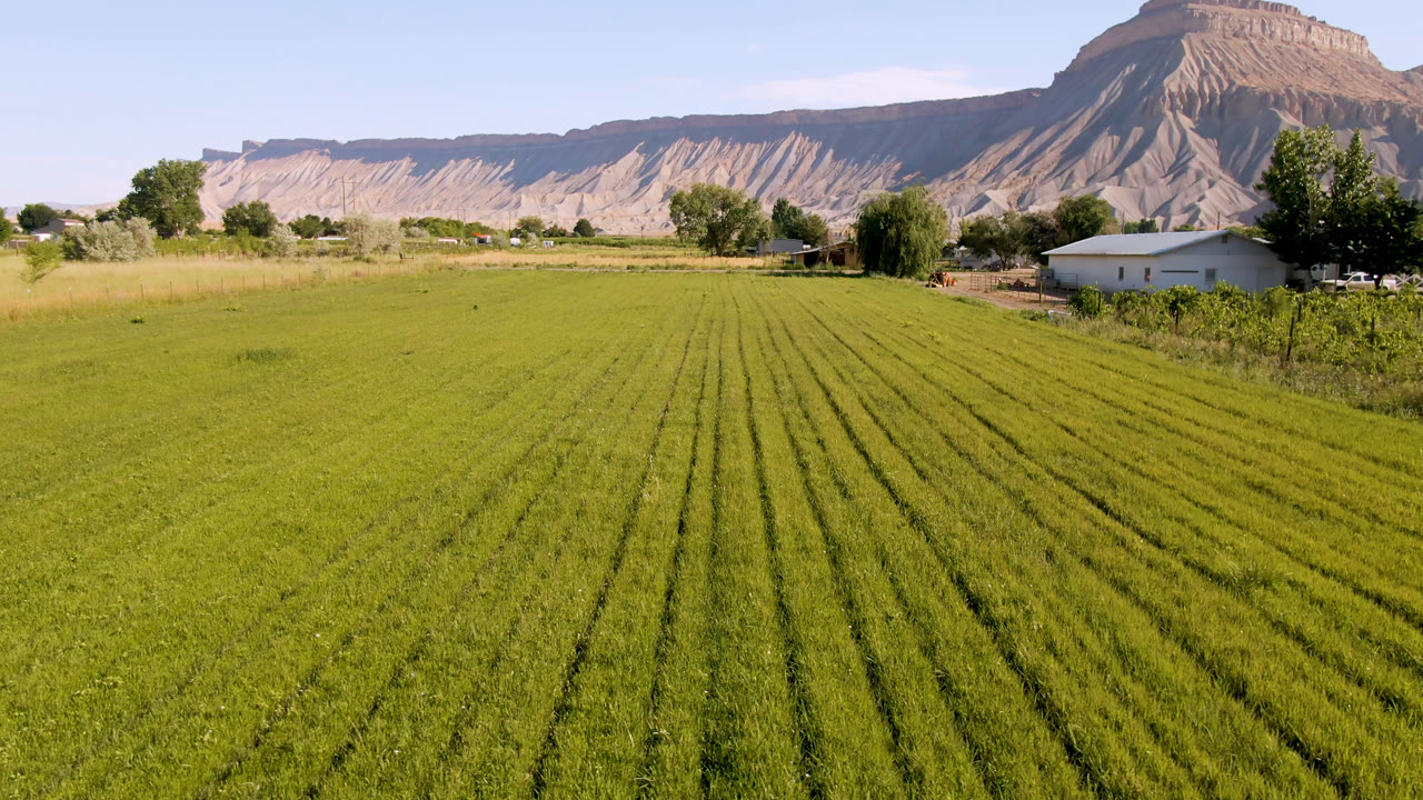 A broad Palisades, Colorado field fills the foreground, with parallel green rows, scattered trees, a low light-colored house, tan mountain slopes, and no visible people.
