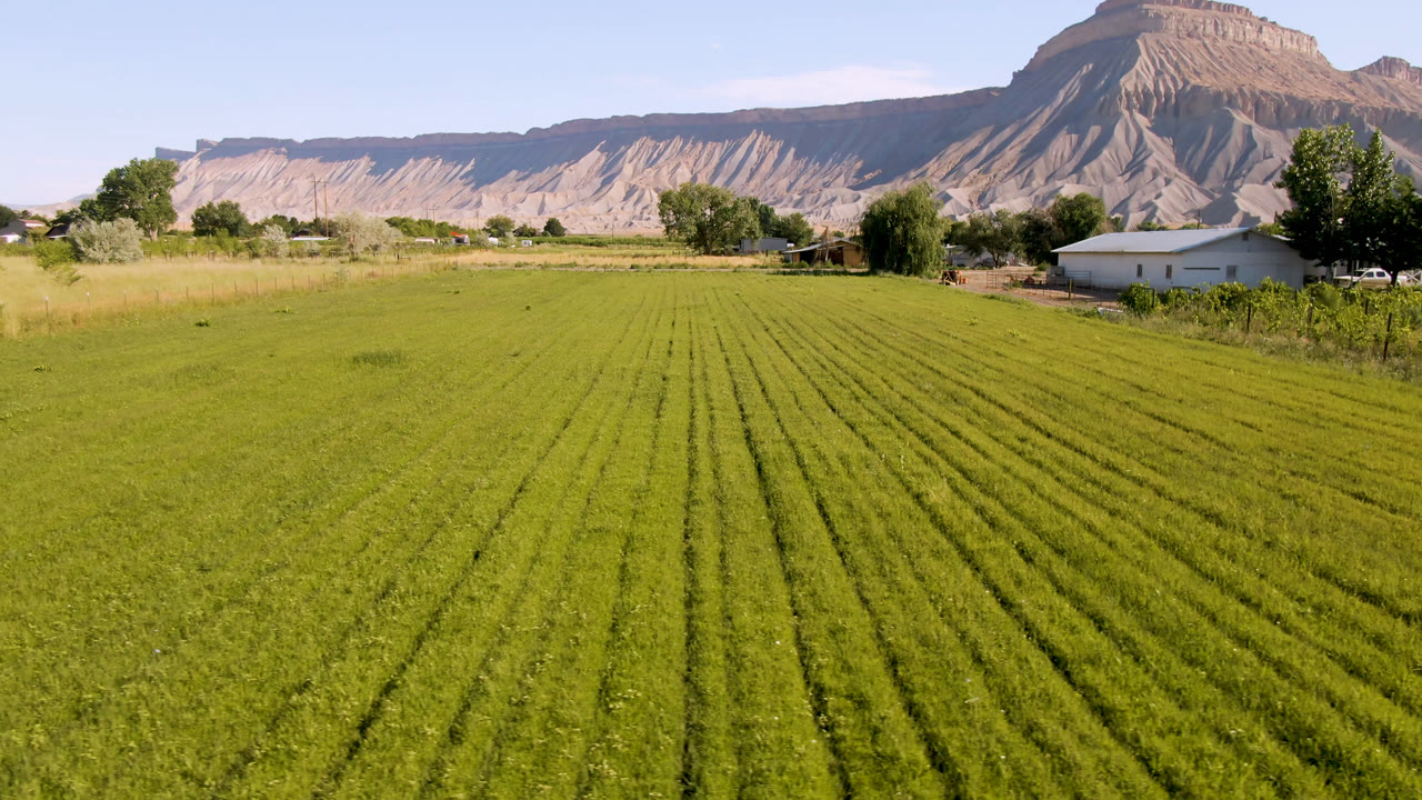 Green crop rows leading toward trees, a white farm building, and desert mountains
