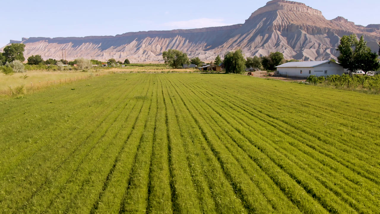 Green crop rows leading toward a white building and desert mountains.