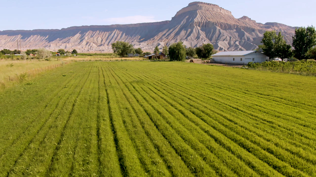 Opening frame of green crop rows in Palisades, Colorado, with a light-colored house, trees, tan cliffs, a flat-topped mountain, blue sky, and no visible people.