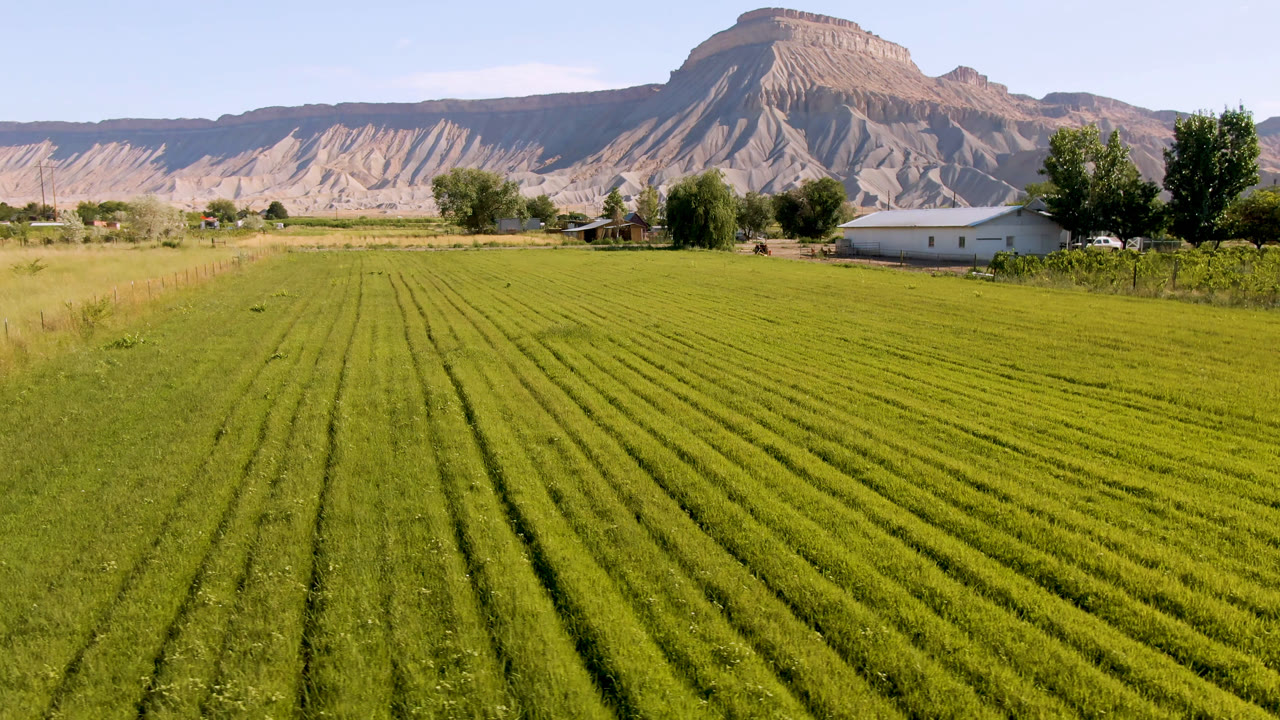 Wide farm field with green rows, trees, a small building, and tan cliffs beyond.