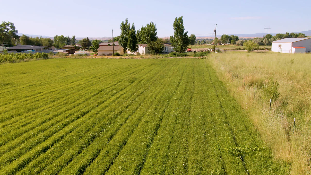 Opening frame of a green field in Palisades, Colorado, with crop rows in the foreground, dry grass at right, farm buildings, trees, distant hills, and no visible people.