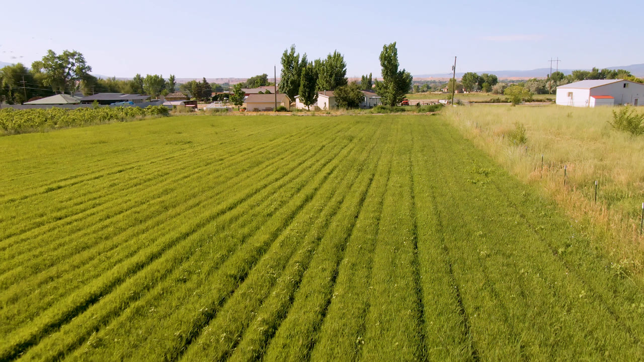 One second into the clip, the Palisades field remains centered with the dry grass verge on the right, farm structures and homes across the horizon, and no visible people.