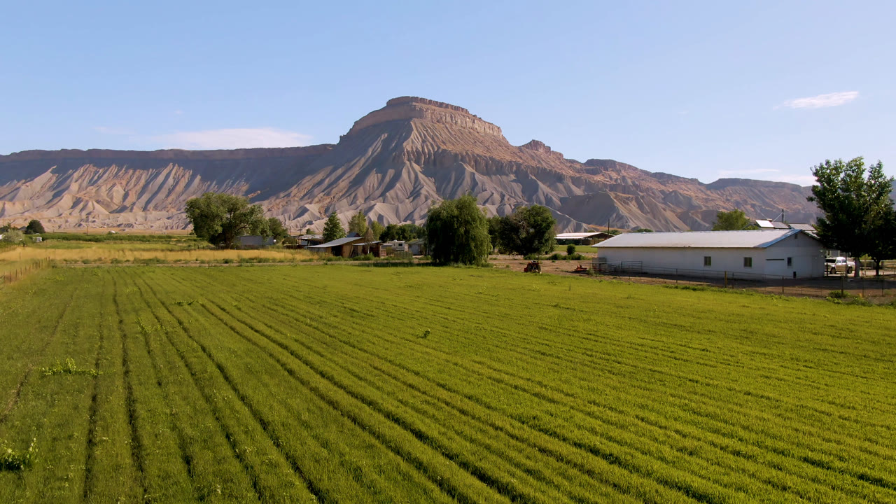 Green field rows with a white building, trees, and mountains under blue sky.