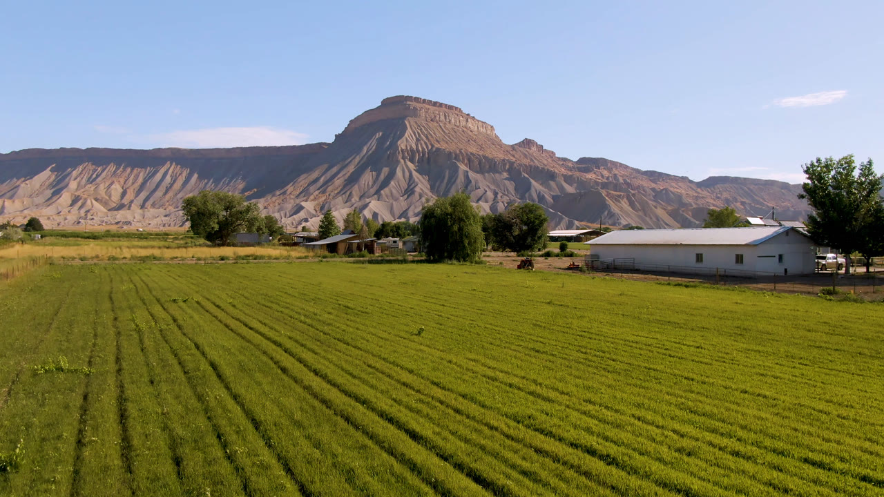A broad Palisades, Colorado field view shows parallel grass rows leading toward a pale building, trees, and layered mountains, with no visible people.