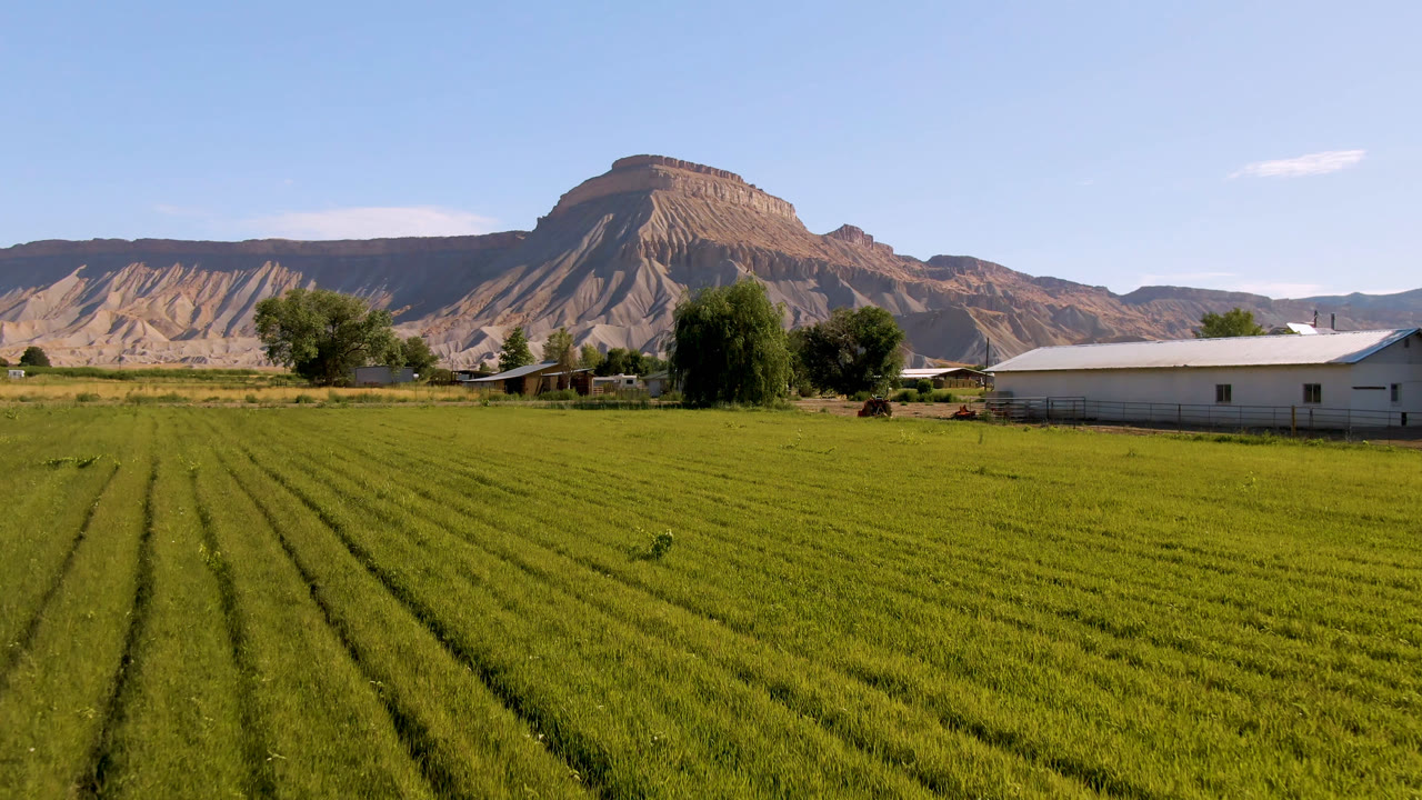 Green field rows with a white building, trees, and tan mountains beyond.