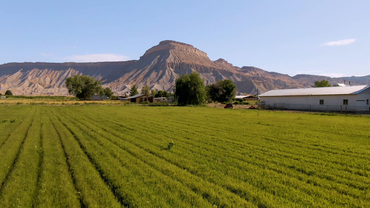 Second frame in Palisades, Colorado with dense green grass across the foreground, clustered trees near the center, a white-roofed building to the right, and no visible people.