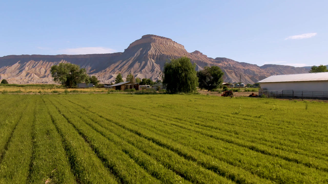 Opening frame of a green field in Palisades, Colorado, with crop rows leading toward trees, low farm structures, tan mountains, blue sky, and no visible people.