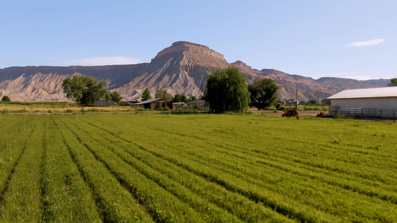 Rural grass field with farmyard trees, buildings, vehicles, and mountains.